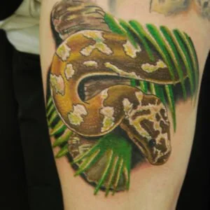 sam_portfolio36 Snake Tattoo